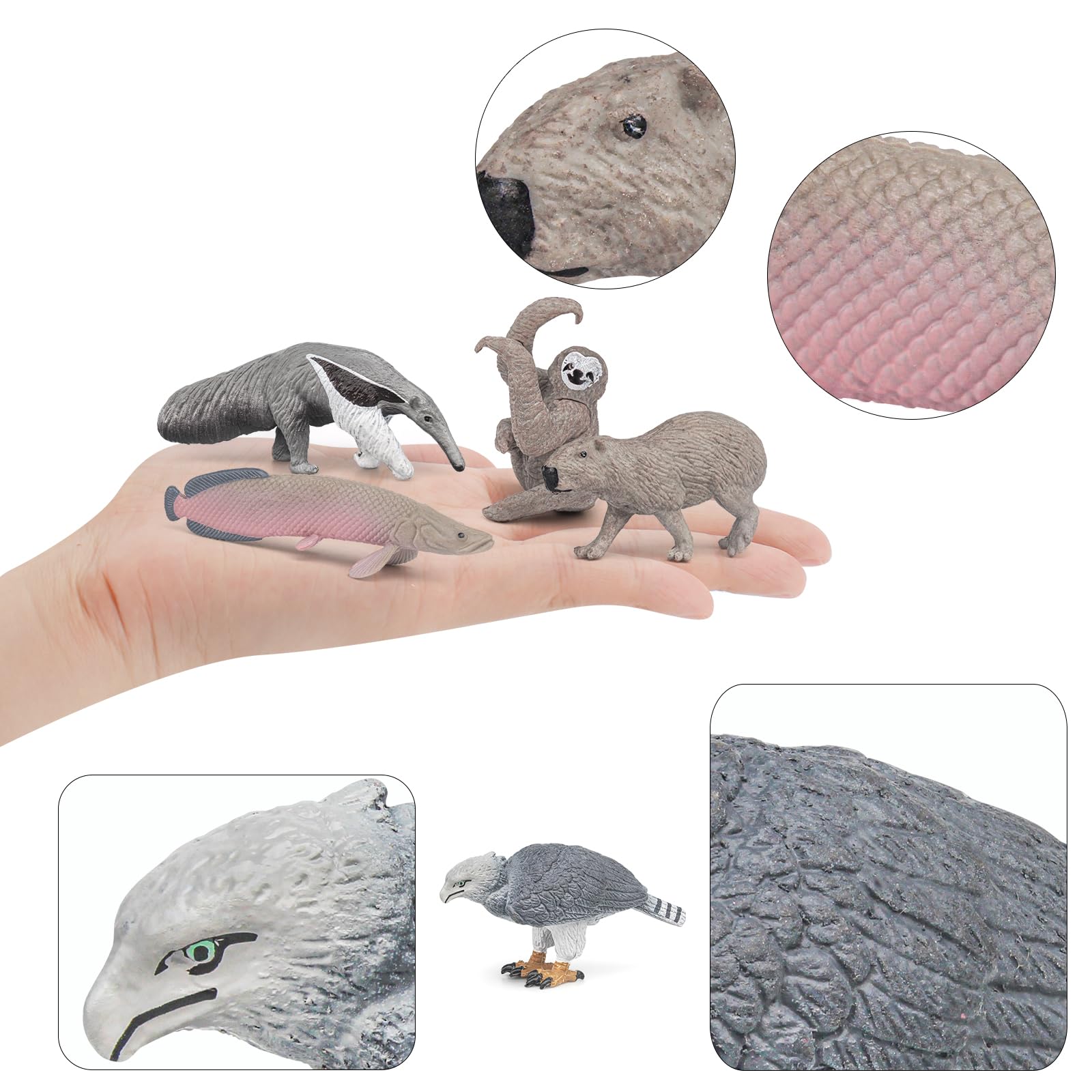 Amazon.co.jp: BRETOYIN ミニ南米動物 - 8ピース 野生動物の置物 子供