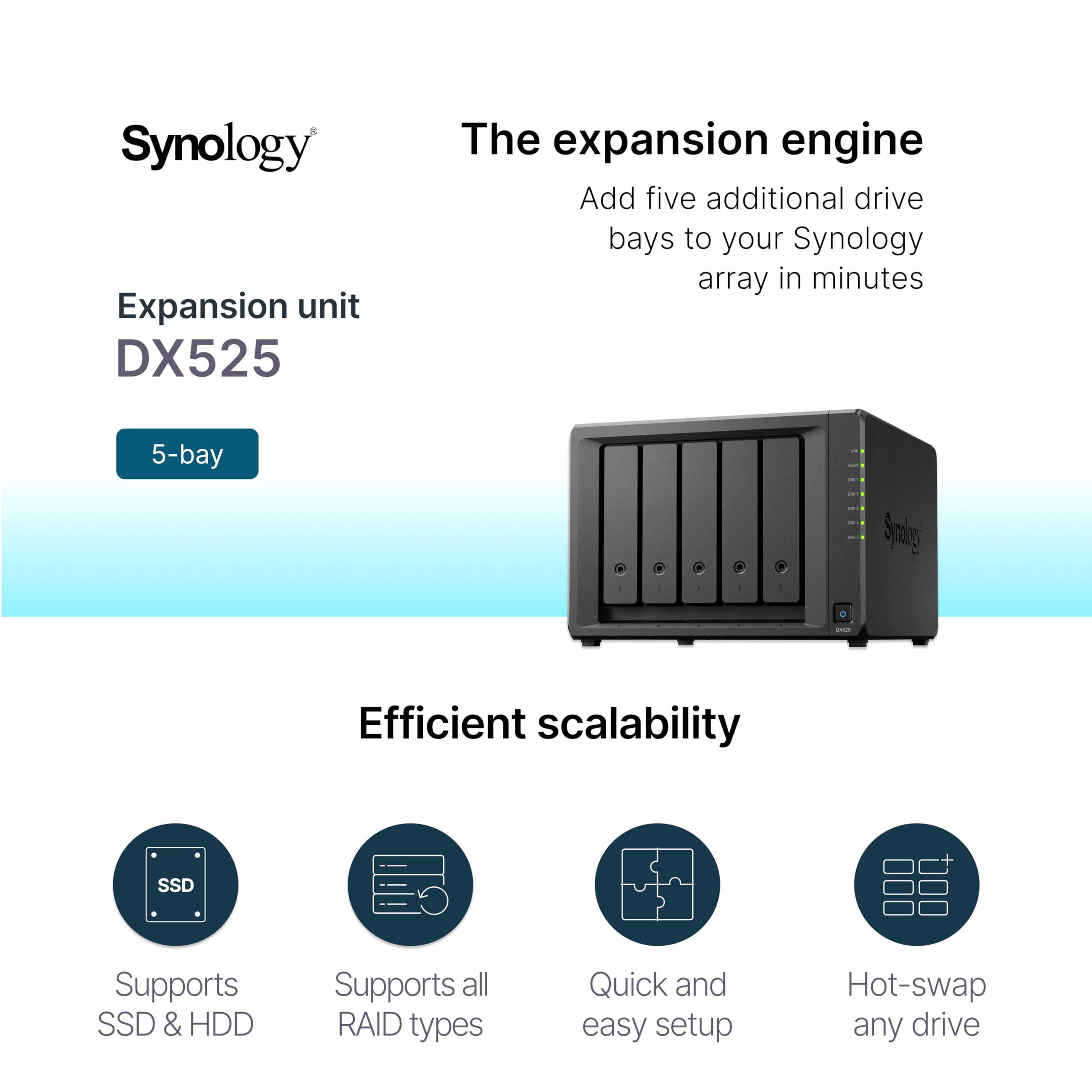 Unità di espansione Synology 5 alloggiamenti DX525 - Dettaglio