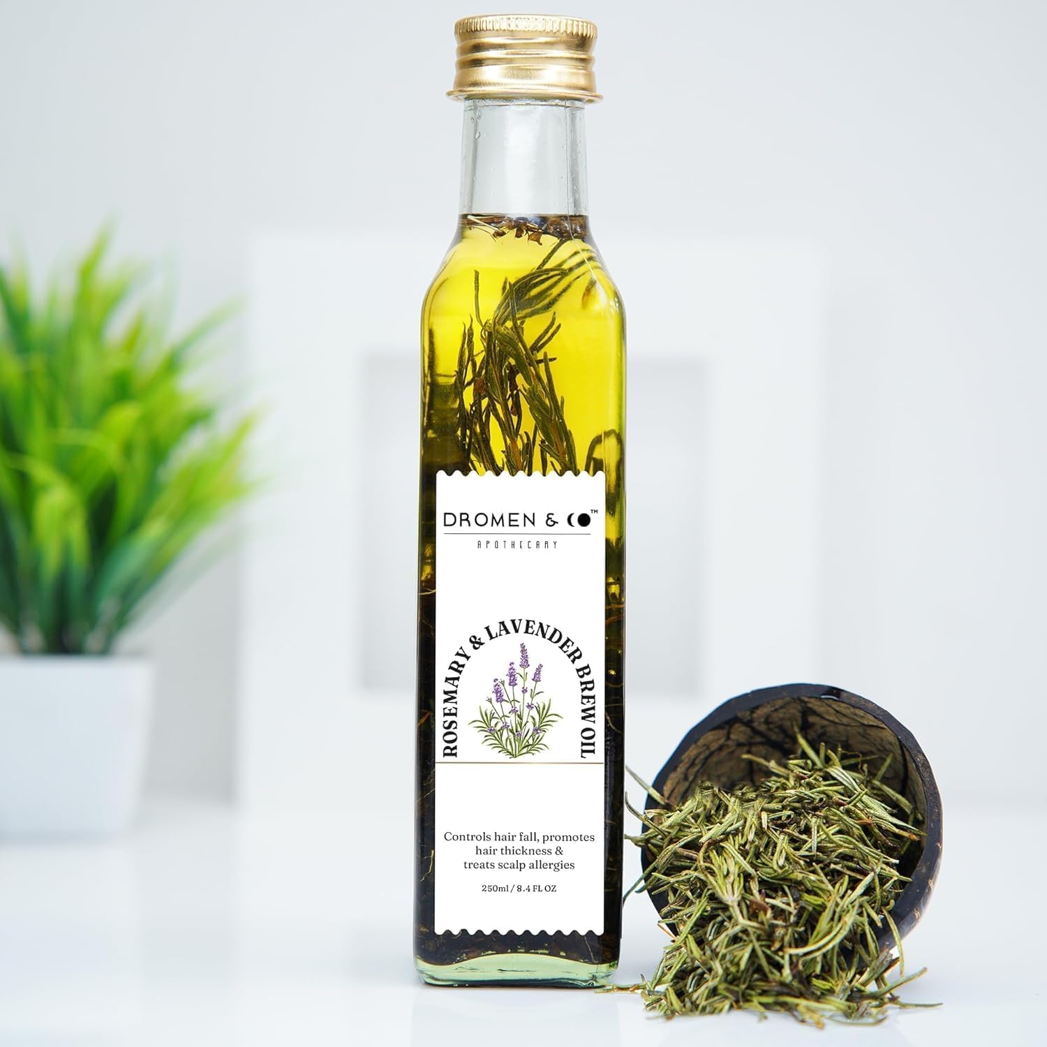 Dromen & Co Rosemary & Lavender Brew Oil | For Hair Growth, Control Dandruff & Hair Fall | Infused With Natural Rosemary & Lavender | Hair Oil For Men & Women- 250 Ml