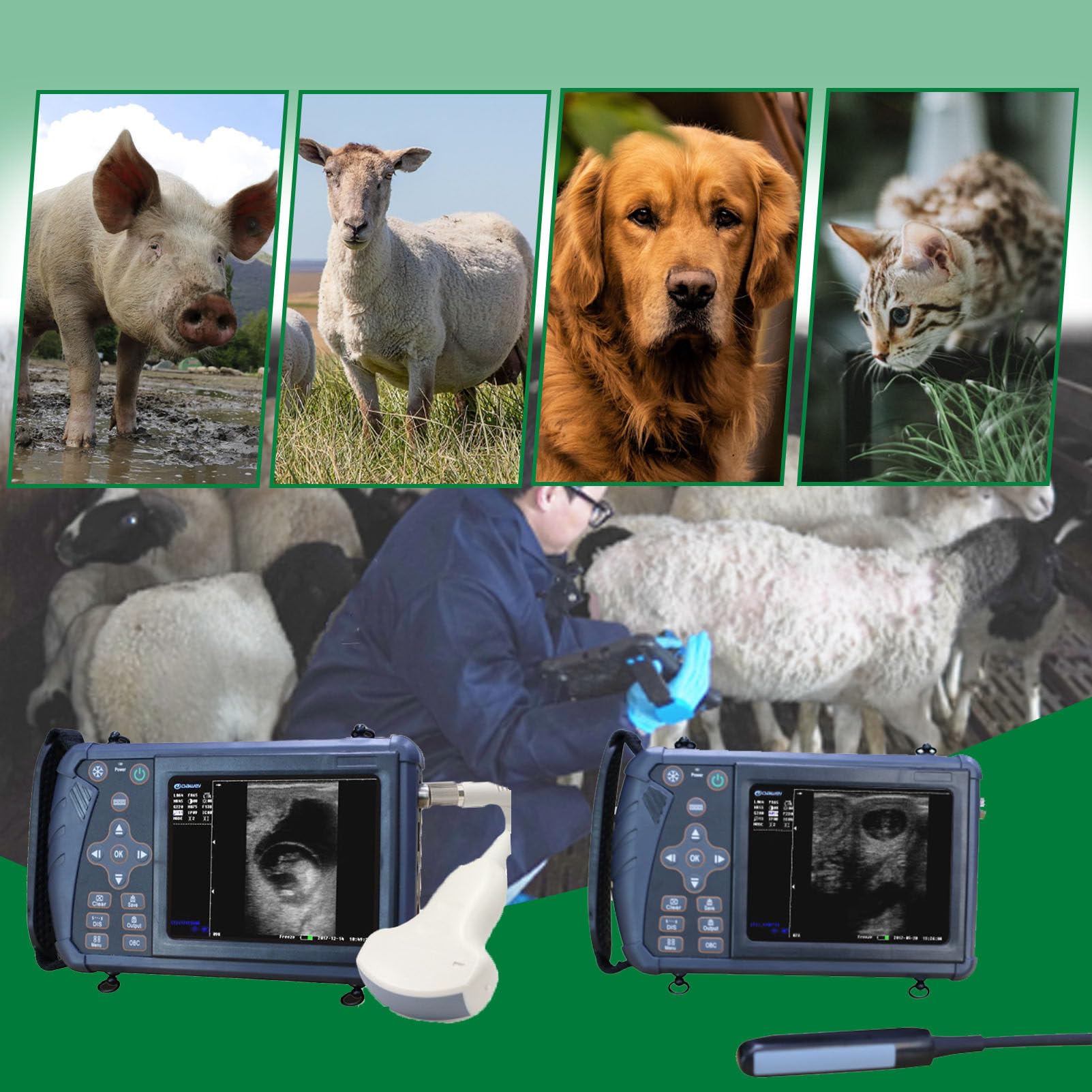 éChographe VéTéRinaire, éChographe VéTéRinaire Portable, avec Sonde 3,5/6,5 MHz pour Porcs, Moutons, ChèVres Et Chiens. H