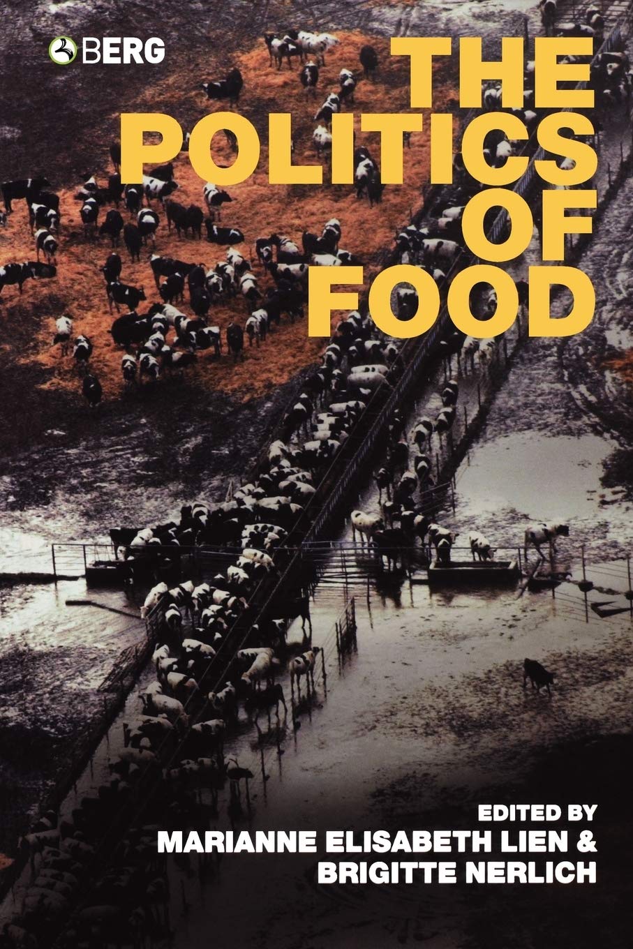 The Politics of Food by Lien, E.  New 9781859738535 Fast Free Shipping<-