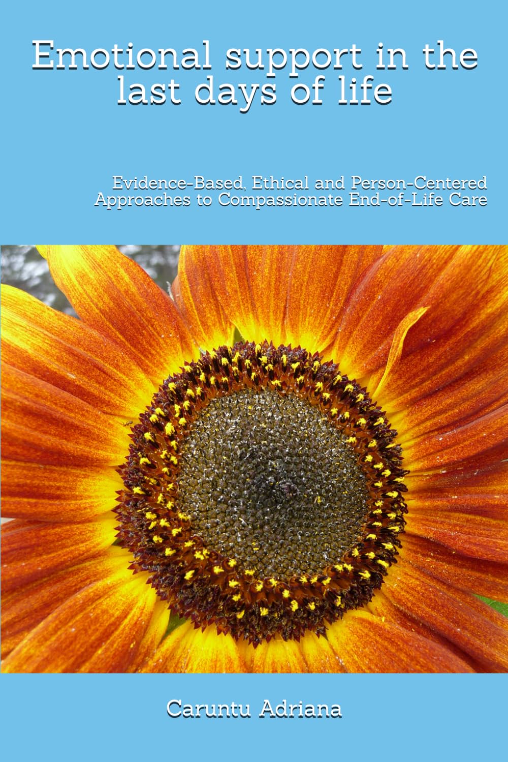 Emotional support in the last days of life: Evidence-Based, Ethical and Person-Centered Approaches to Compassionate End-of-Life Care (Beyond Barriers: Care Without Limits)