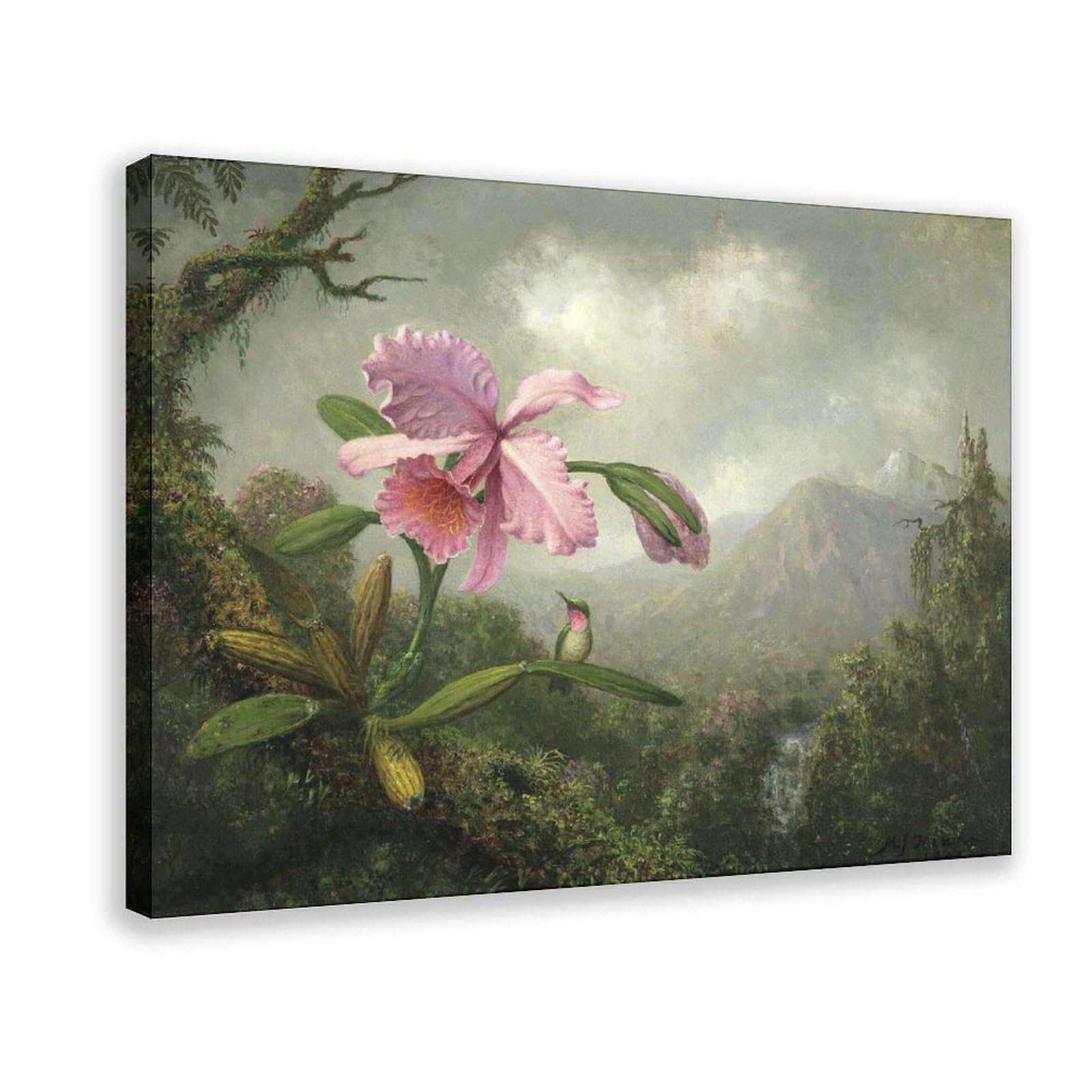 DFJyjFGJJ Martin Johnson Heade,Orchid And Hummingbird near A Waterfall Canvas Wall Art Print Poster For Home School Office Decor 12" L X 18" W