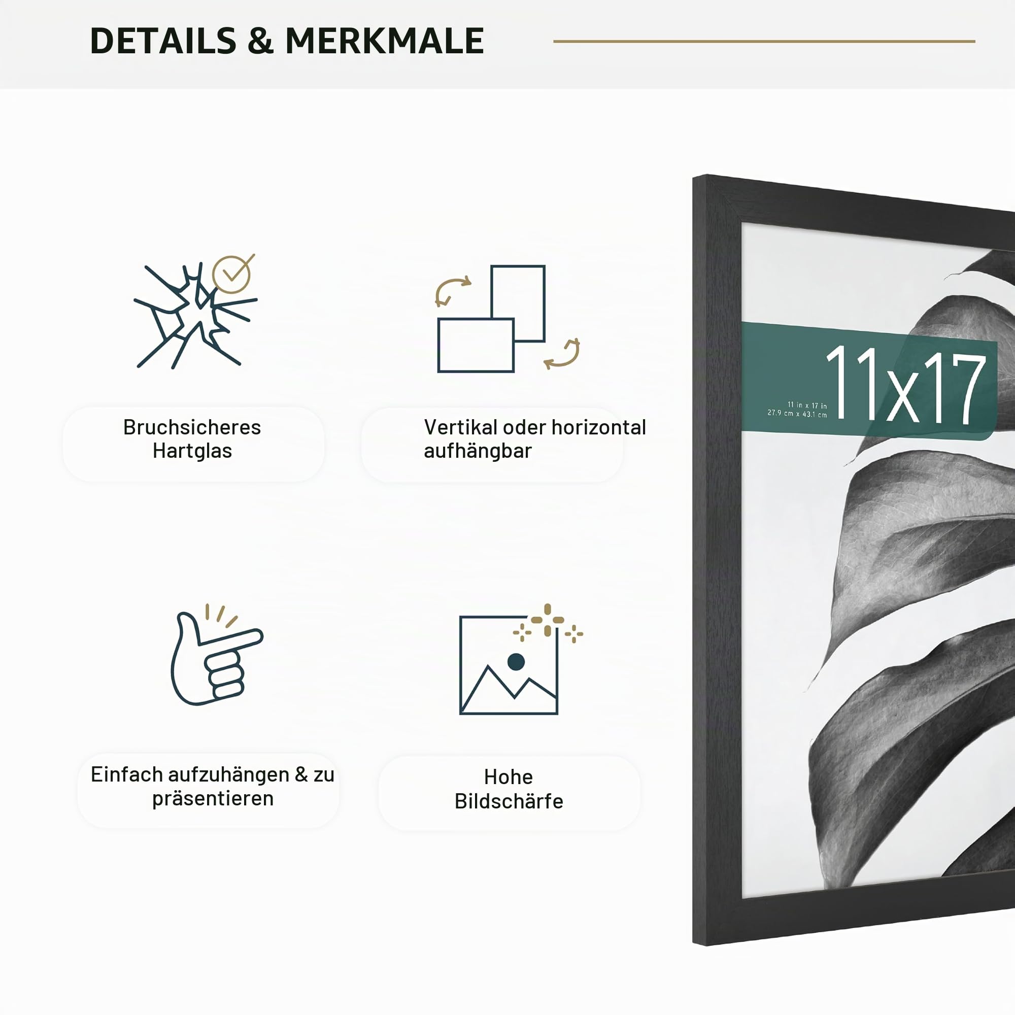 Mcs Studio Gallery 27 – Bild 6