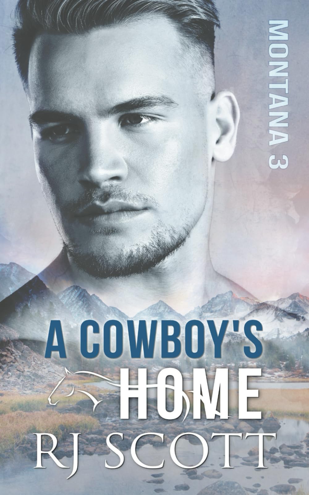 A Cowboy's Home: Volume 3 (Montana Series)