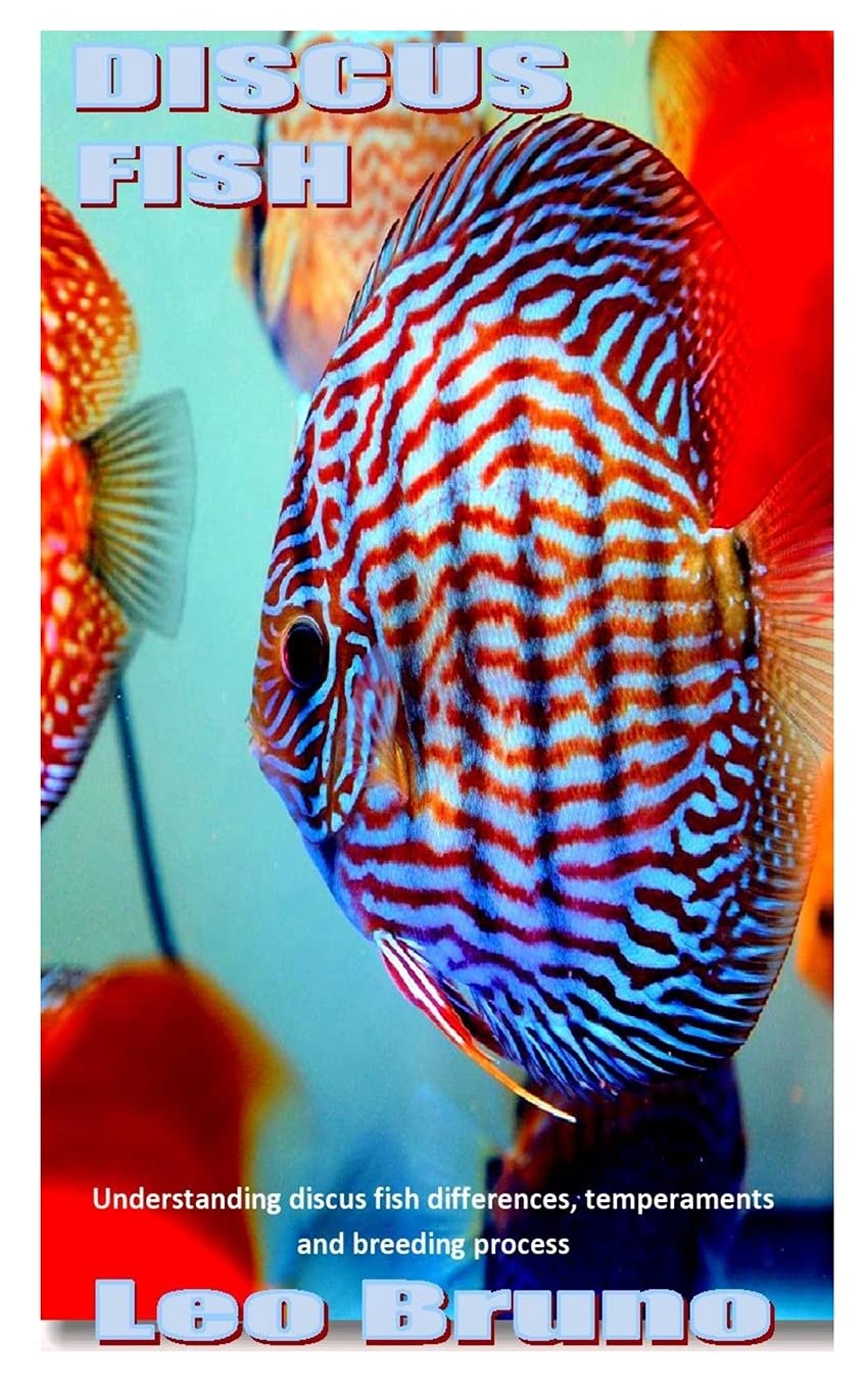 Buy DISCUS FISH Understanding discus fish differences, temperaments