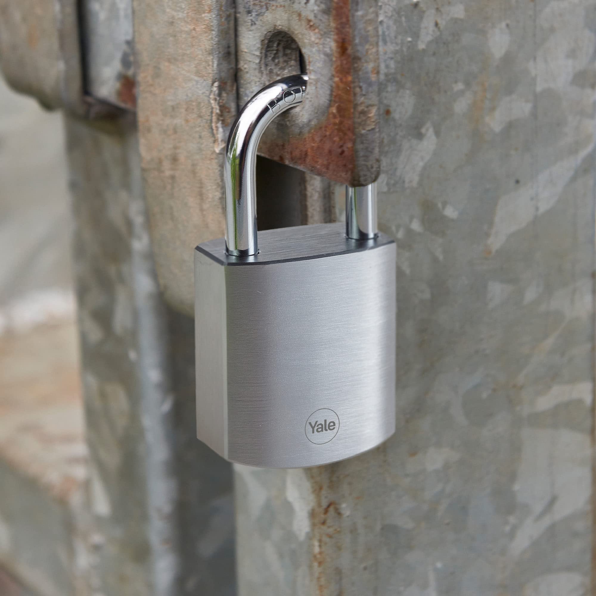 Yale Y128B/50/132/1B - Lucchetto in Ottone Cromato 50 mm, Arco in Acciaio Temprato Ø 8,7 mm, Corpo Robusto, Compatibile con Mezzo Eurocilindro 10/30 mm, Ideale per Cancelli, Garage e Uso Esterno