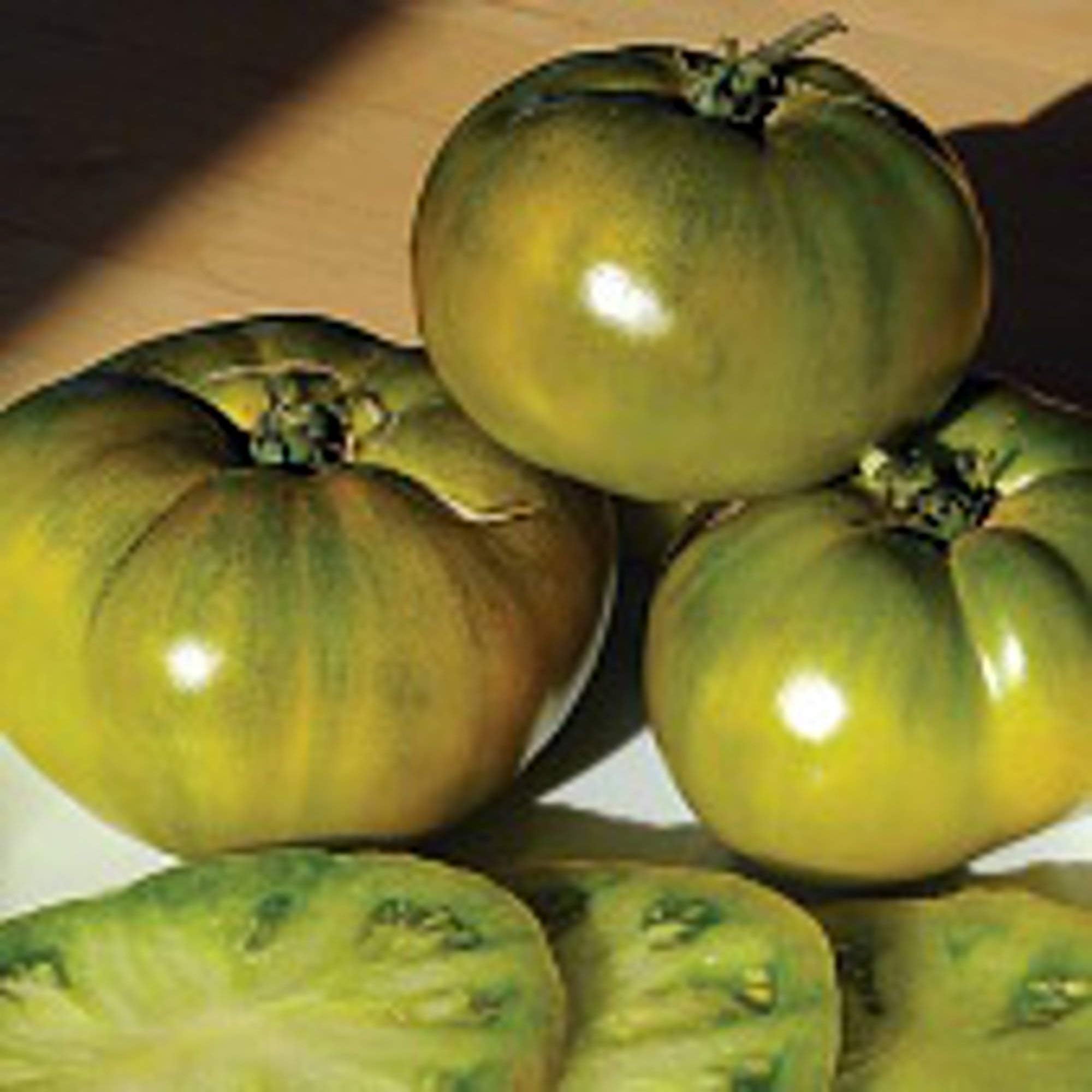 Cherokee Green Heirloom Tomato Seeds Large