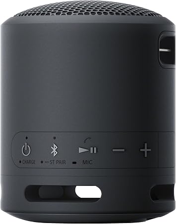 Sony - Compact & Portable Waterproof Wireless Bluetooth Speaker with Extra BASS - Black