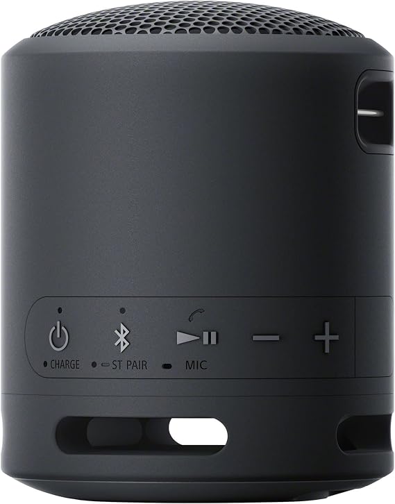 Sony - Compact & Portable Waterproof Wireless Bluetooth Speaker with Extra BASS - Black
