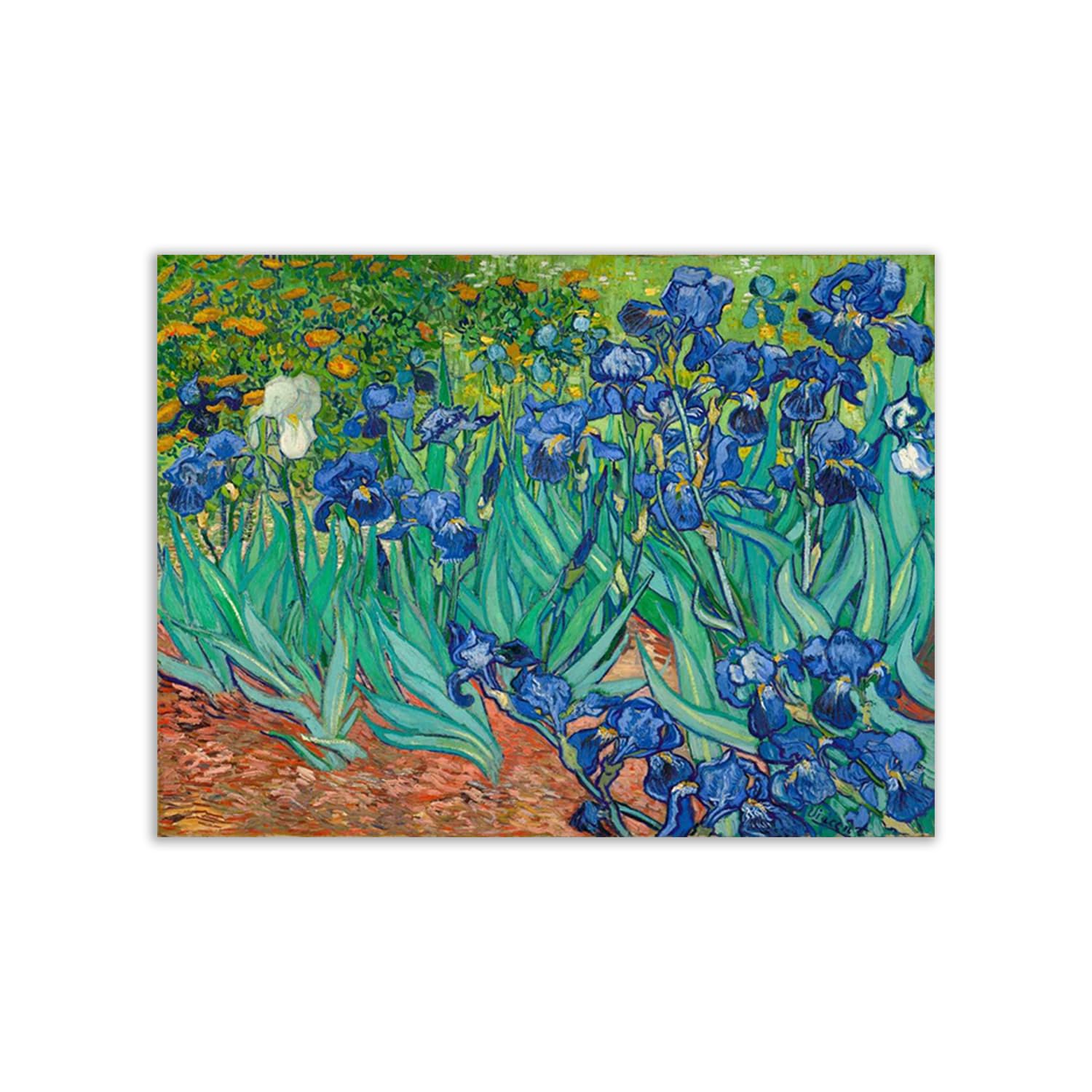 Poster Vincent Van Gogh Irises pour illuminer la décoration murale d'un salon lumineux