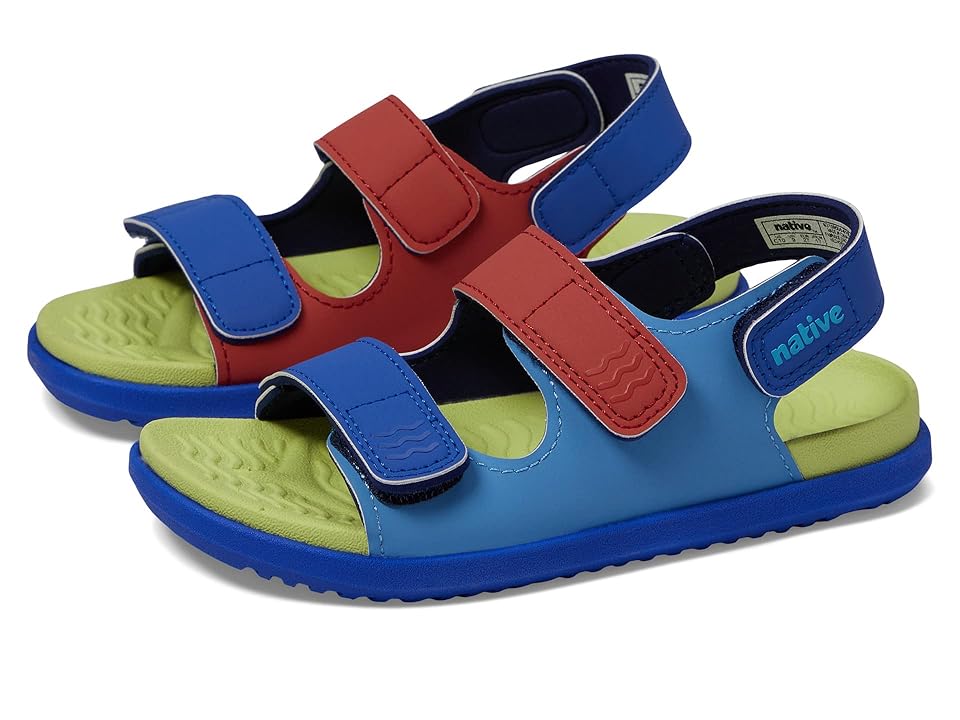 Native Shoes Kids Frankie Sugarlite (Toddler) (Resting Blue/Celery Green/UV Blue/UV Hyper Strap) Kid's Shoes INTERNATIONAL SHIPPING