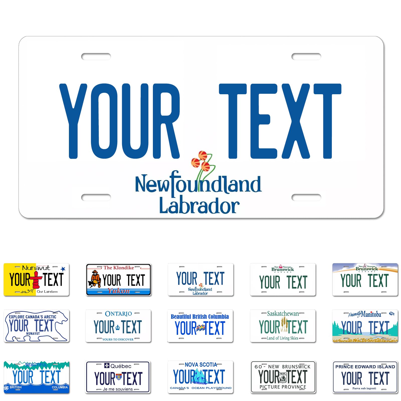 Ontario License Plate, 6"×12" Custom License Plate — view 41