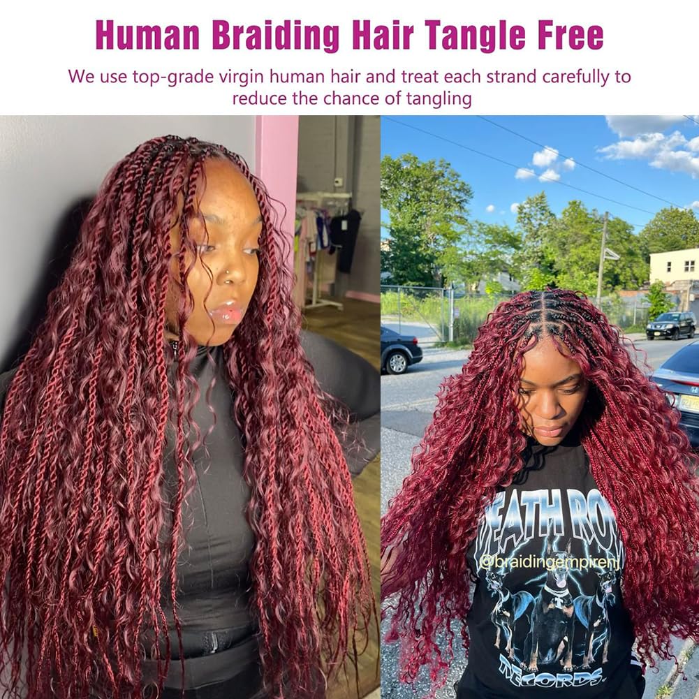 100 Percent Human Boho Braiding Hair DeepWave Bulk Boho Hair for Braiding Curly BundlesHuman Hair for Boho Braids Wet and WawBraiding Hair Extension No Weft (20inch,#99J Burgundy)