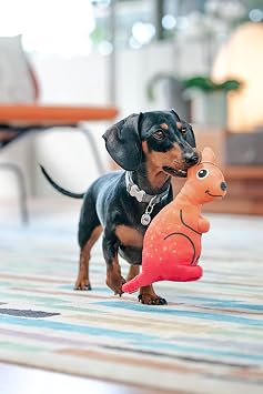 Soft Dog Toy, Kangaroo, Red Dingo Durables