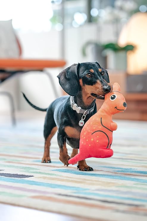 Soft Dog Toy, Kangaroo, Red Dingo Durables