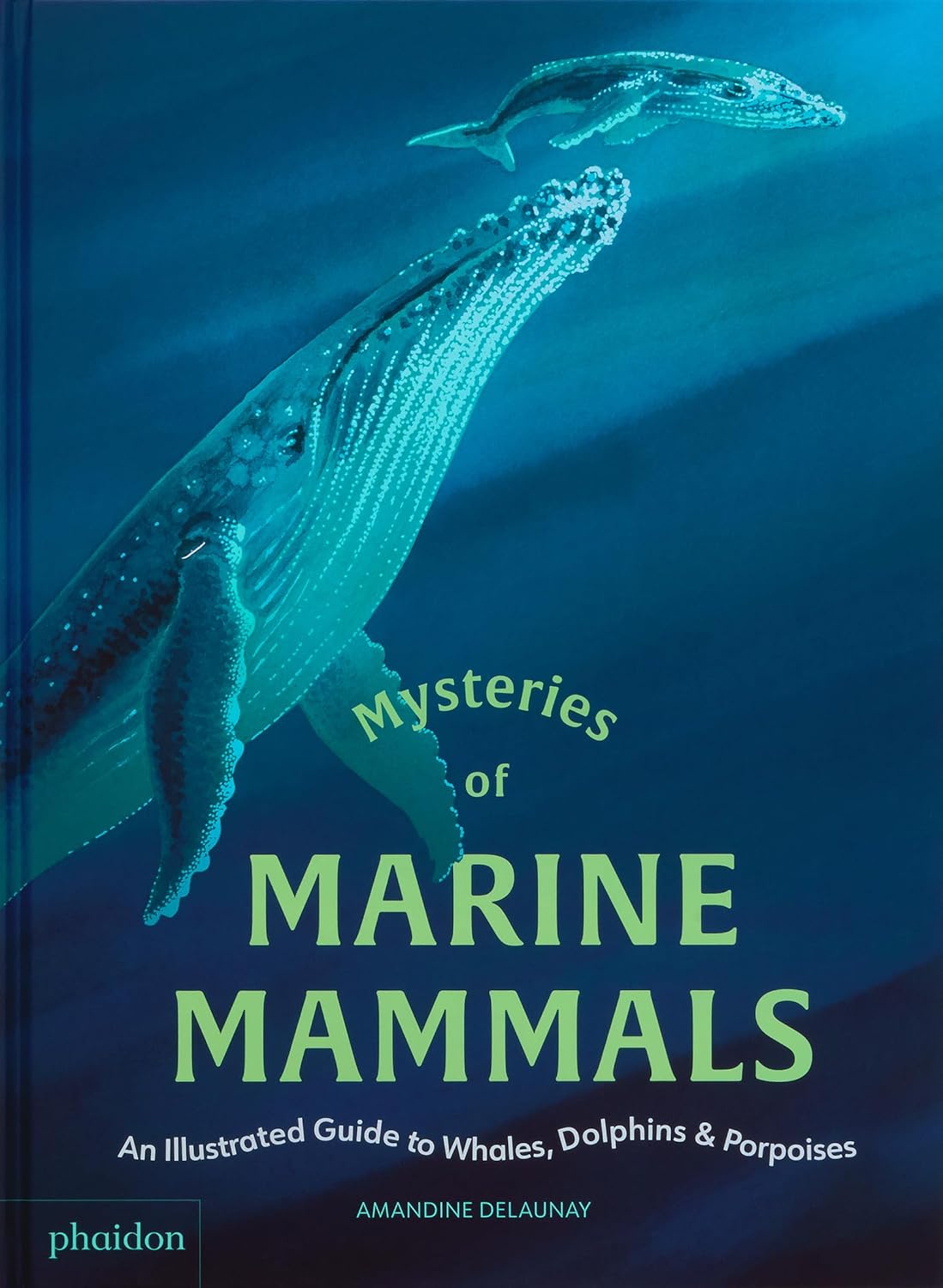 Mysteries of Marine Mammals: An Illustrated Guide to Whales, Dolphins, and Porpoises      Hardcover – October 8, 2025