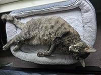 Review Image by Simon Simon