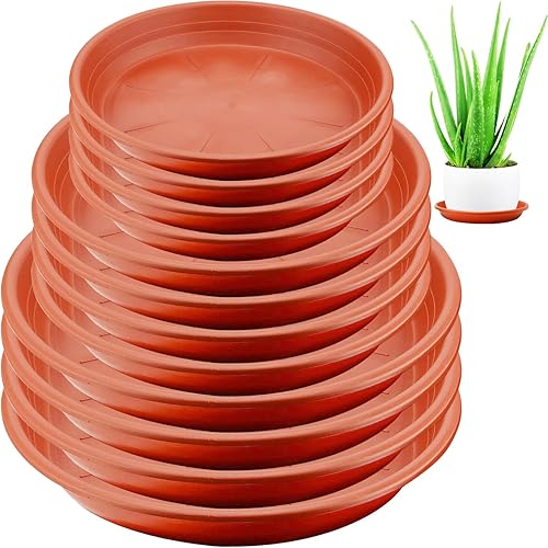 Miniatura 8 de BamLue Paquete de 12 platillos gruesos mejorados para plantas, 6, 8, 10 pulgadas, platos redondos de plástico para plantas de jardín de interior y