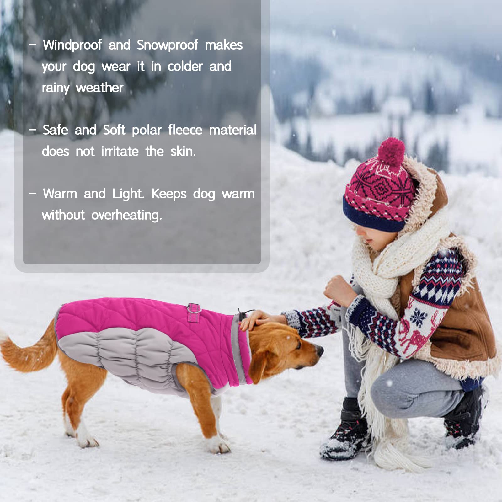 Kuoser Hond winterjas waterdicht koud weer warme jas voor kleine, middelgrote en grote honden, gezellige fleece gevoerde puppy wintervest met bontkraag reflecterende ritssluiting huisdierkleding Kuoser Hond winterjas waterdicht koud weer warme jas voor kleine, middelgrote en grote honden, gezellige fleece gevoerde puppy wintervest met bontkraag reflecterende ritssluiting huisdierkleding