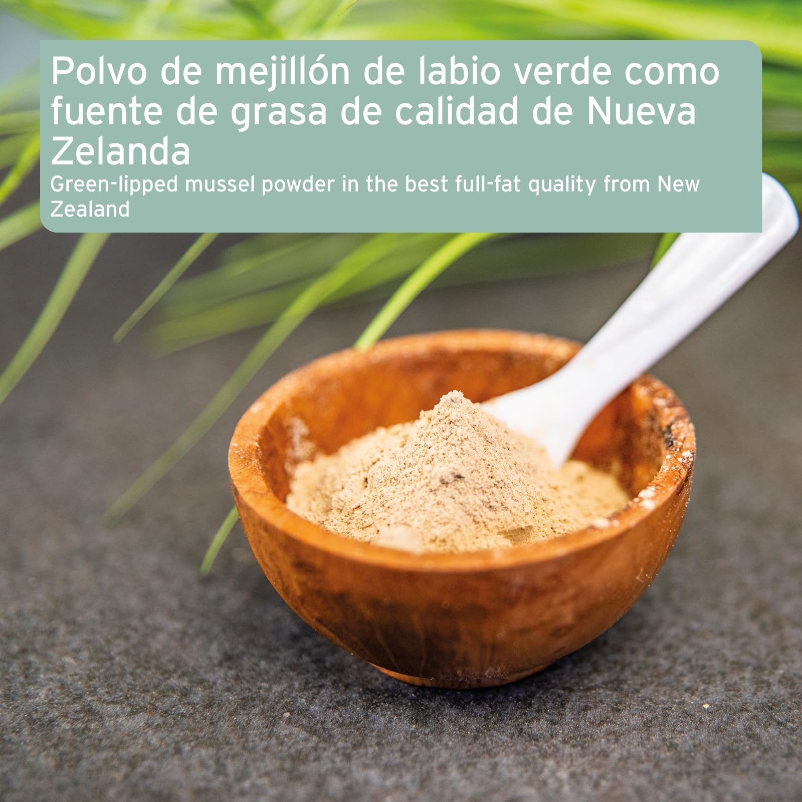 AniForte Polvo de mejillón de Labios Verdes 250g para Perros y Gatos. Condroprotector Natural, 3,3% glicosaminoglicanos y Alto Contenido graso. Apoya la Salud Articular.