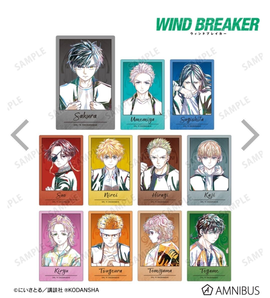 Amazon.co.jp: 桜遥 桜 外袋付き WIND BREAKER ウィンド