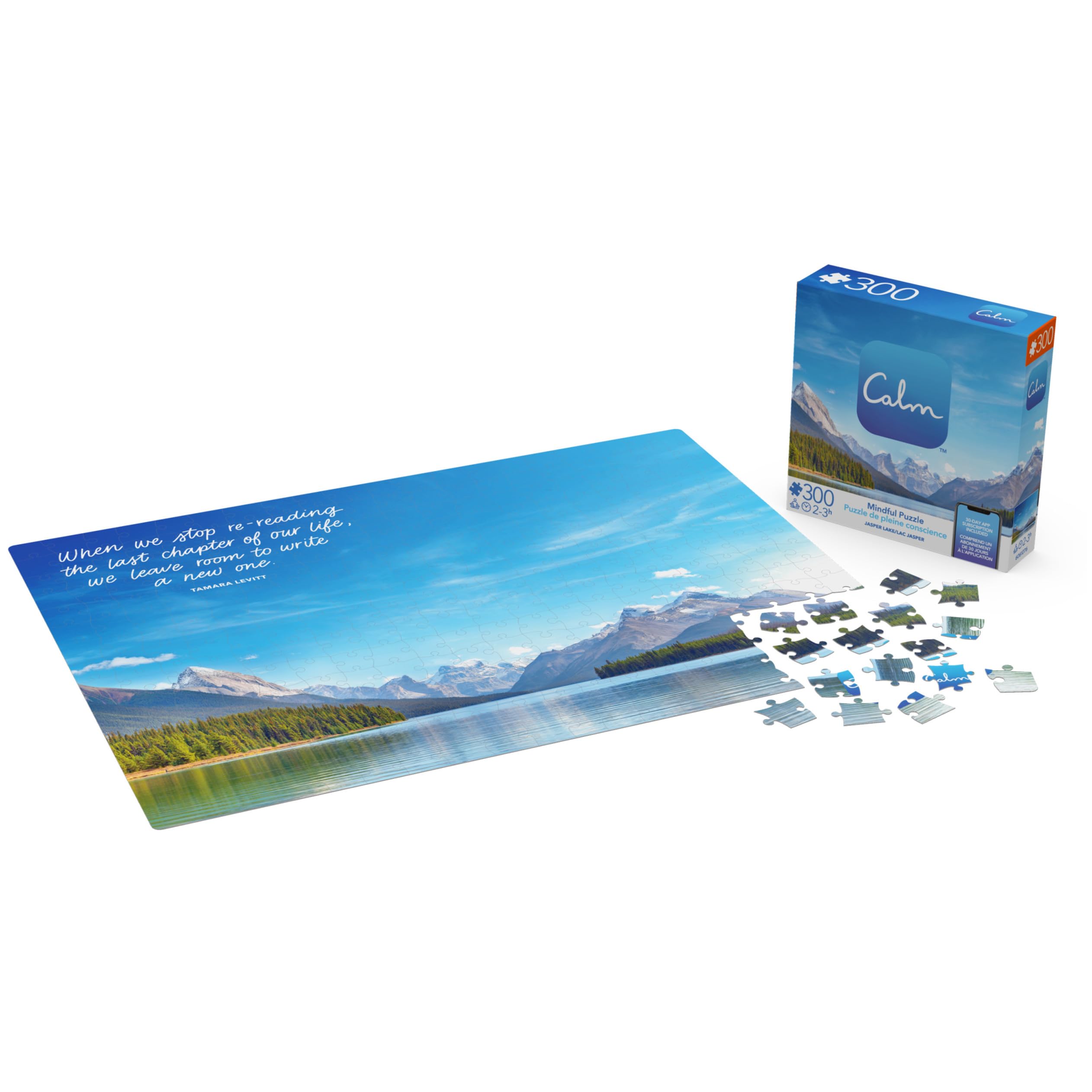 Amazon.com: 300 Piece Calm Jigsaw Puzzle for Relaxation, Stress