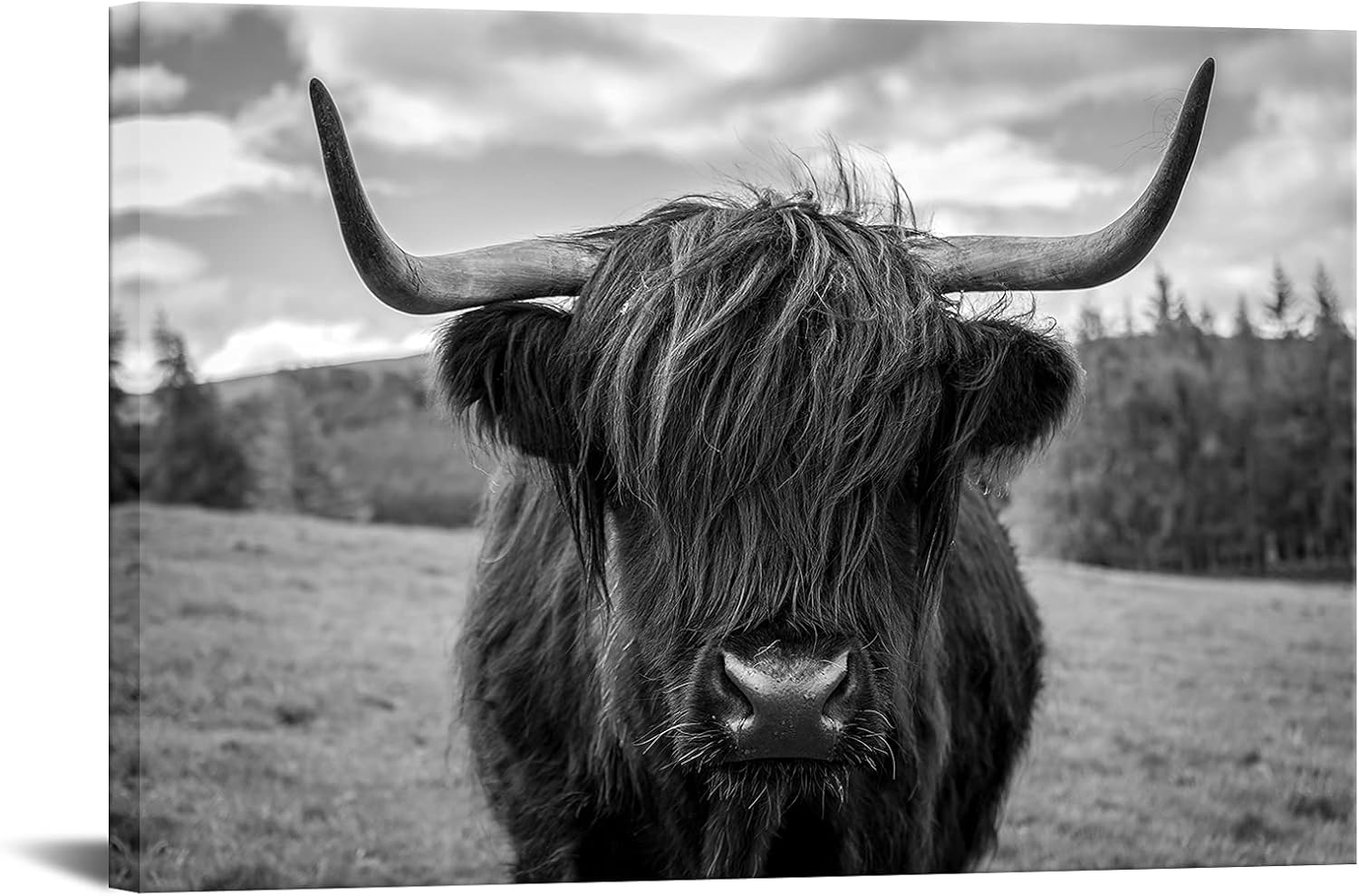 Canvas Print Wall Art Black and White Texas Freedom Highland Cow Pictures Painting Wild Animal Cattle Framed Artwork Longhorn Poster Prints for Living Room Bedroom Farmhouse 24x36inch