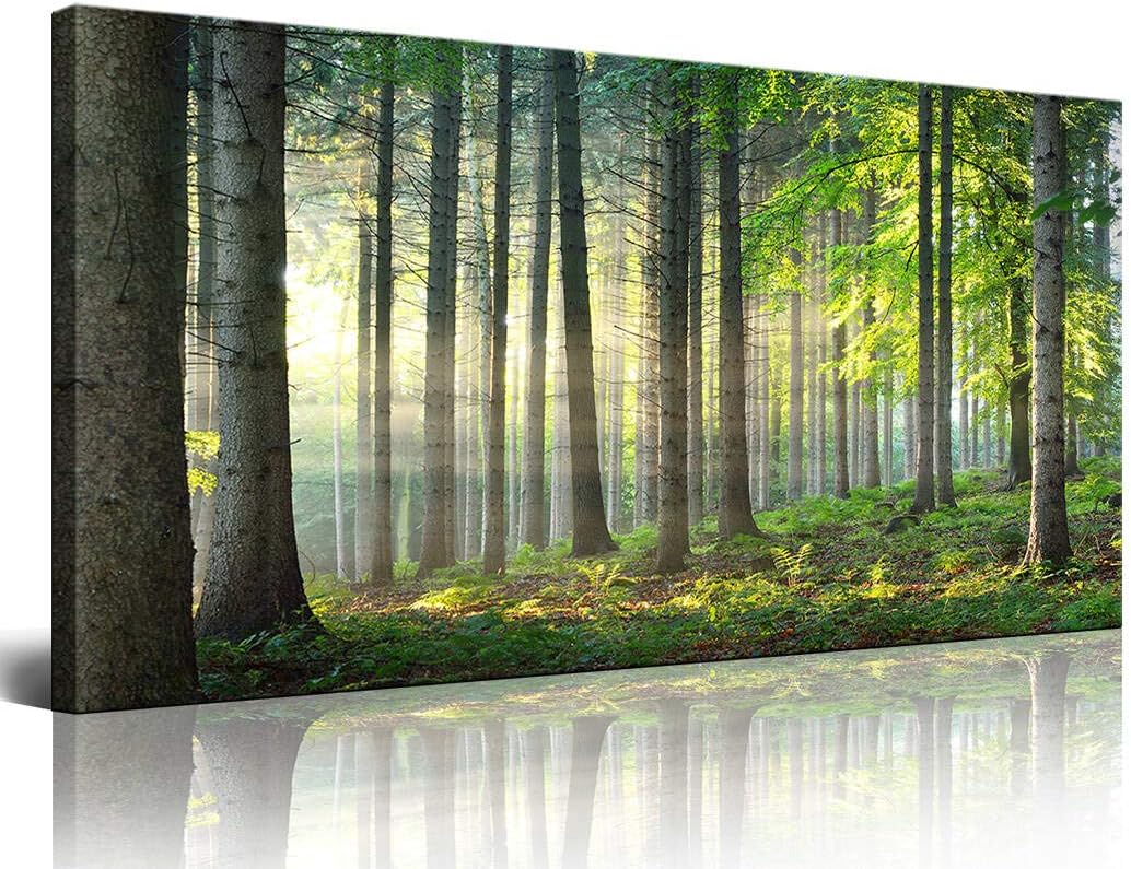Large living room murals Canvas printing Murals Natural landscape Yosemite Green forest art Morning sun and fresh air design pictures (30x60 inches) Murals hanging in the Living room Office and Bedroom 75x150cm Large living room forest art