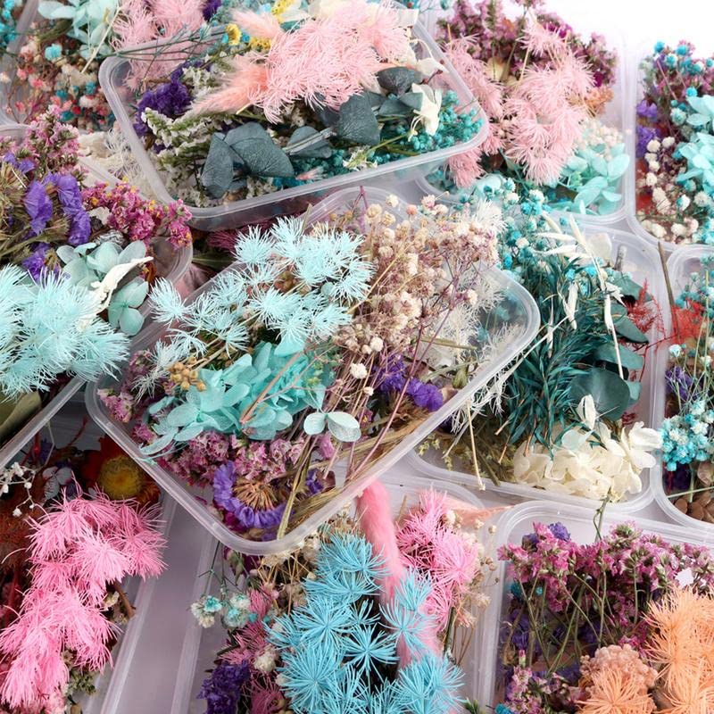 10 cajas de flores secas coloridas para velas miniatura 5