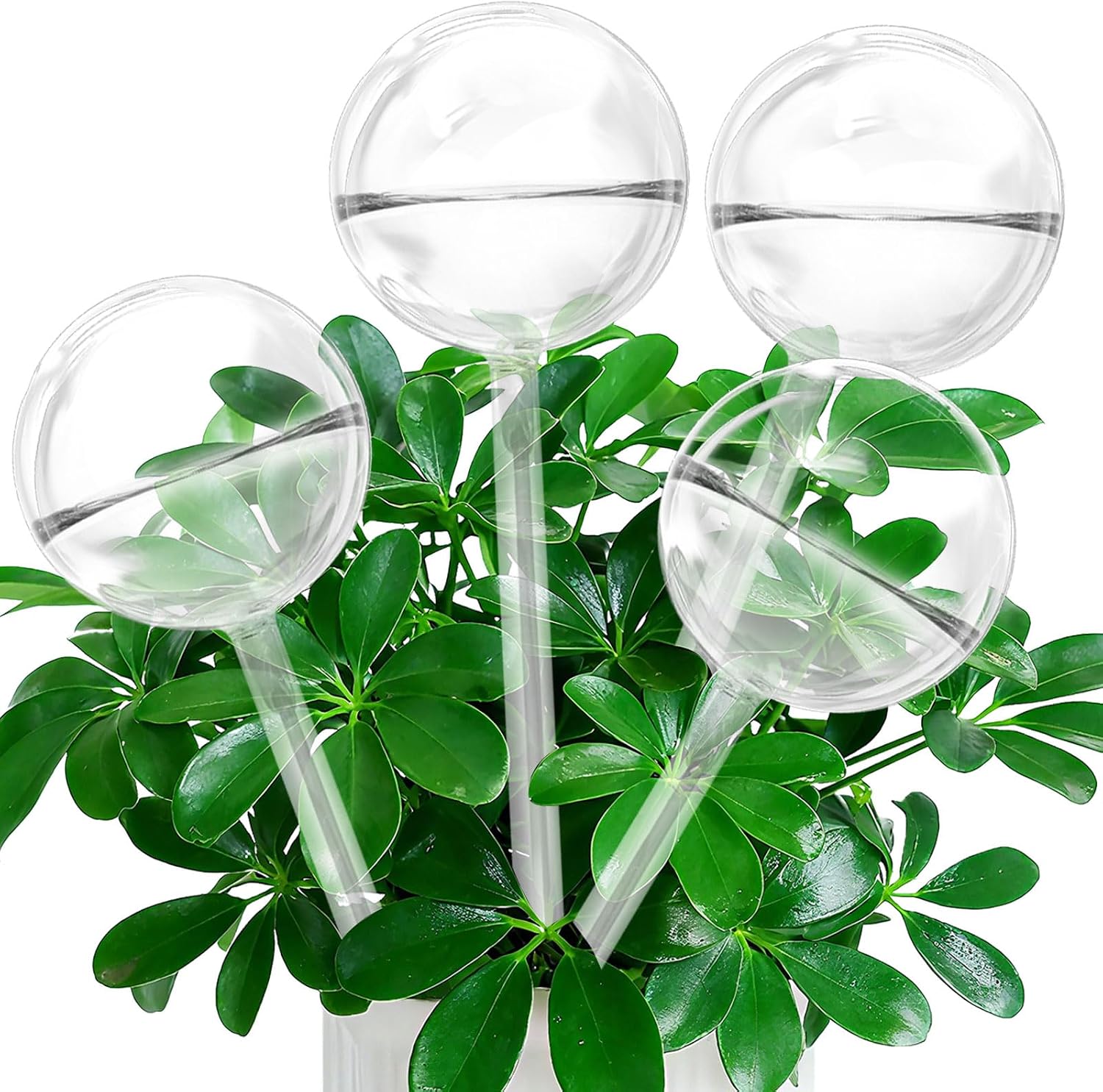 Self Watering Globes, Glass Clear Plant Watering Globes, Self Watering Planter Insert for Indoor & Outdoor Potted, Self Watering Planter Insert Spikes Devices for Everyday or Vacation Use, 4 Pack