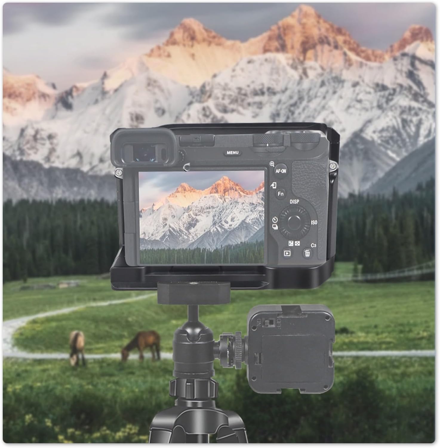 Camera Cage Compatible with Sony A6700 Compatible with DJI RS4Pro Stabilizer,Built-in Threaded Holes, Cold Shoe and Quick Release Plate (a6700 cage)