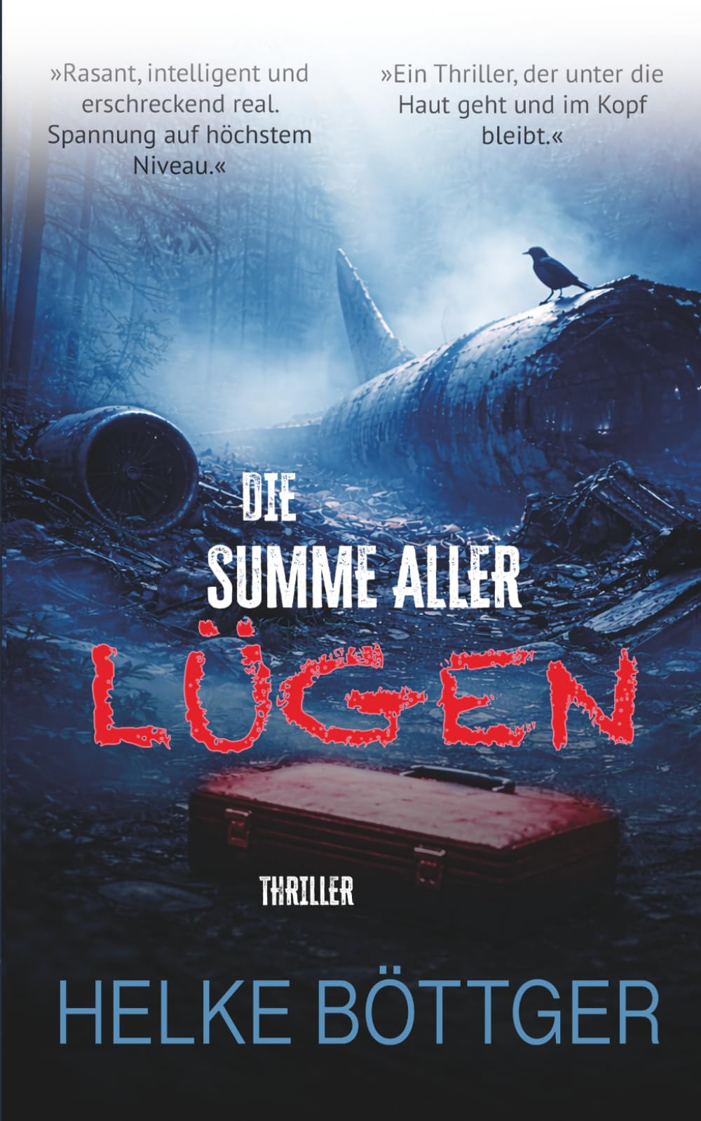 Die Summe aller Lügen (Thriller)