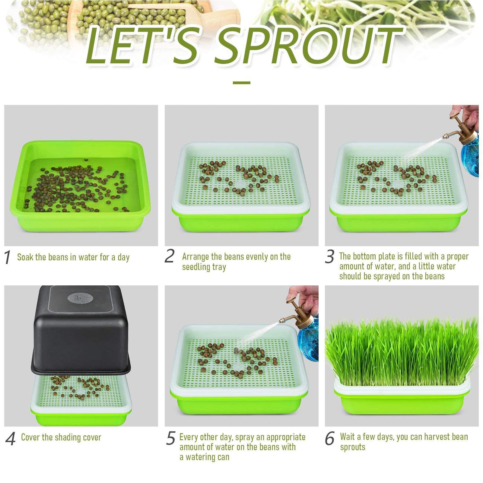 5 Vassoi Per Germinazione Semi - Kit Idroponico Con Coperchio Senza BPA