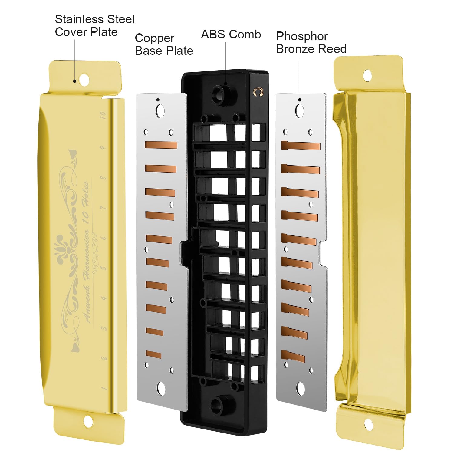 Anwenk Harmonica Key of C 10 Hole 20 Tone Diatonic Harmonica C with Case for Beginner, Gold - Image 3