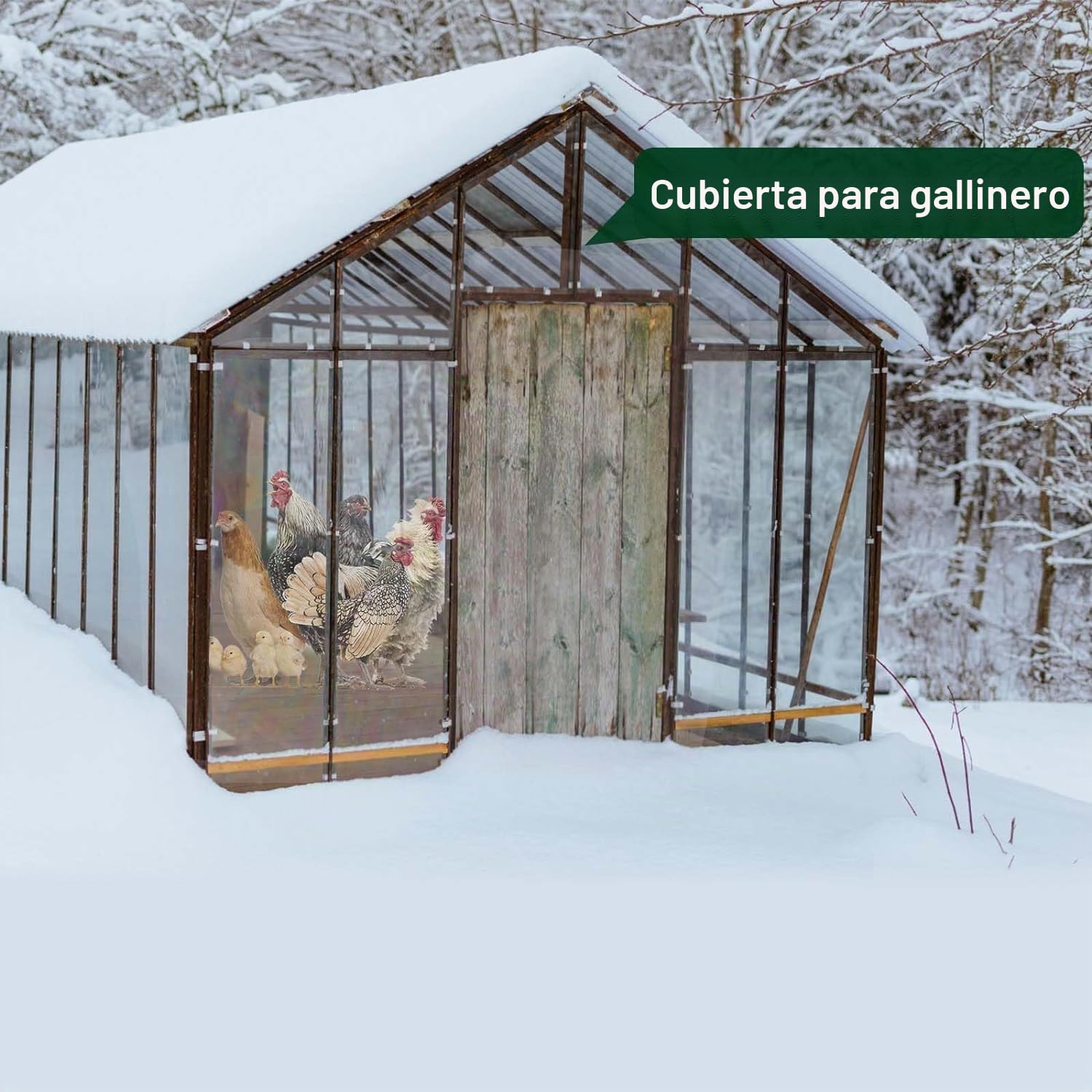 Lona Transparente con Ojales para Exteriores,OKYUK Lona Transparente de PVC de 420 g/m², con 20 Bridas, 12 Bandas de Goma con Bolas, 10 m de Cuerda de fijación Adecuada para pabellones(2x2.5m)