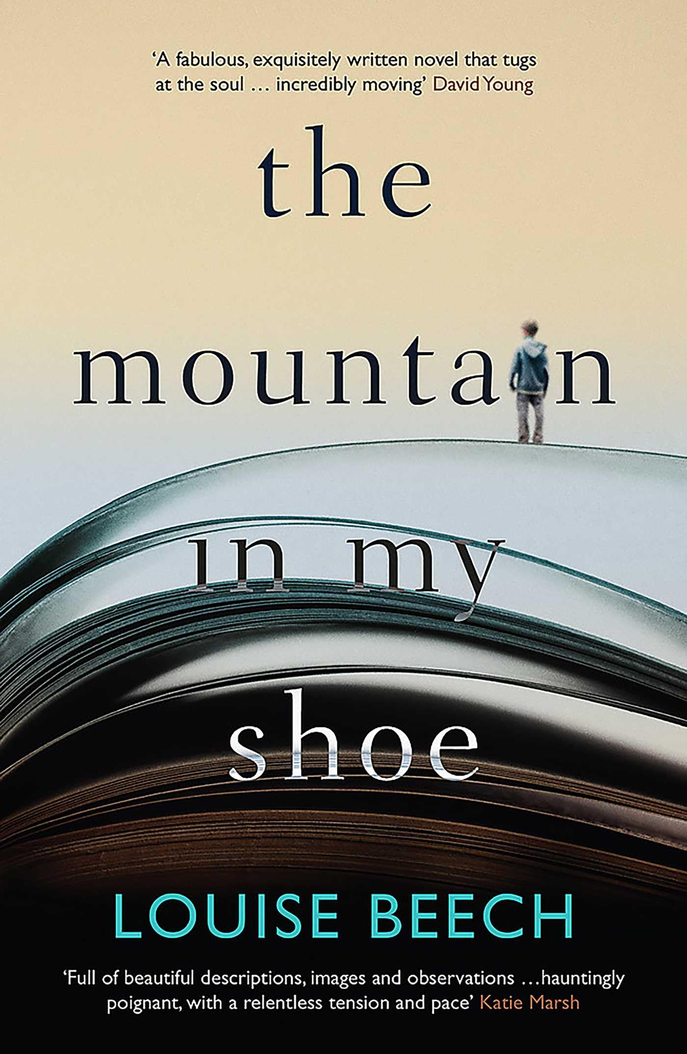 The Mountain in My Shoe by Louise Beech PAPERBACK 9781910633397