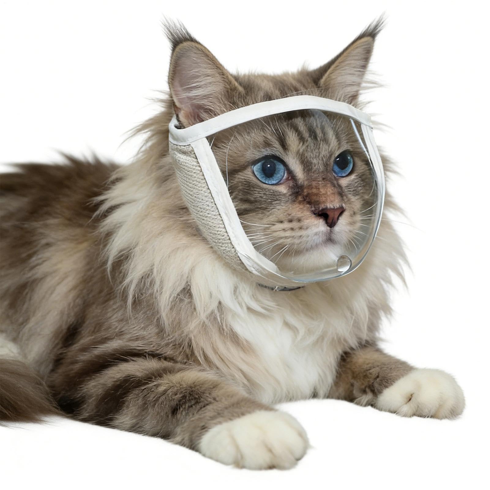 Cat Muzzle for Grooming - Transparent Breathable Soft - Small Cat Bite Guard Head Cover - for All Breeds Kitten Puppy Biting Protection Clipping Bathing