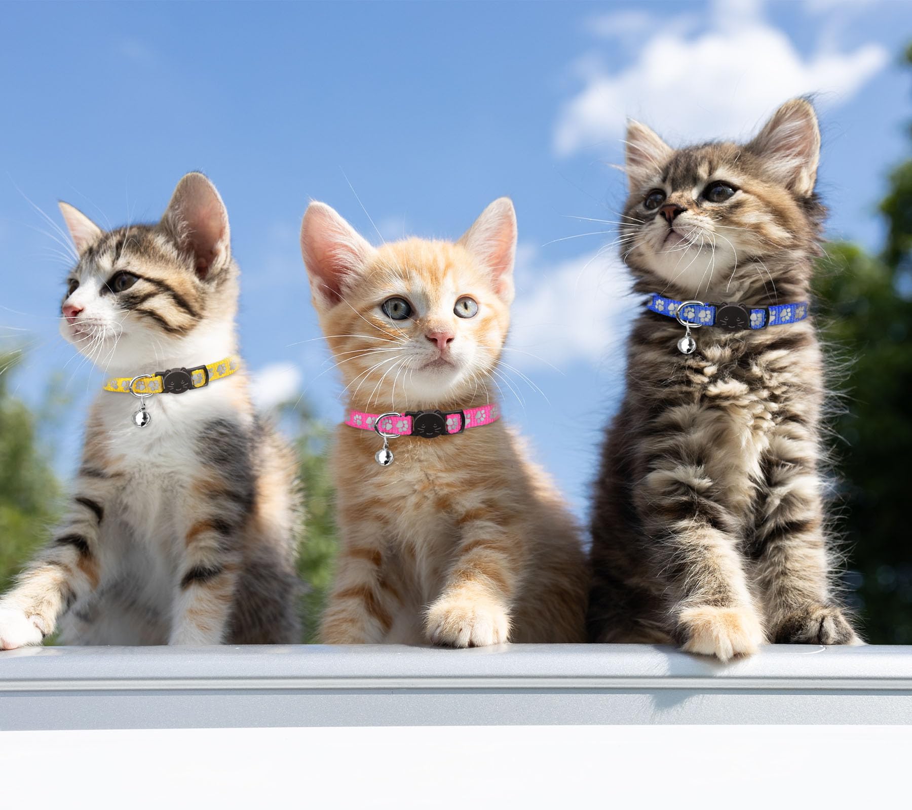 16 collares para gatos con campanas, reflectantes, de nailon, de seguridad, para gatos, para niñas, niños y gatos (6 a 9 pulgadas)