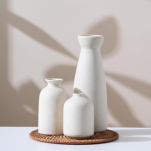 Juego de 3 jarrones pequeños de cerámica, decoración moderna y bohemia para el hogar, jarrón de hierba de las pampas, decoración minimalista, para