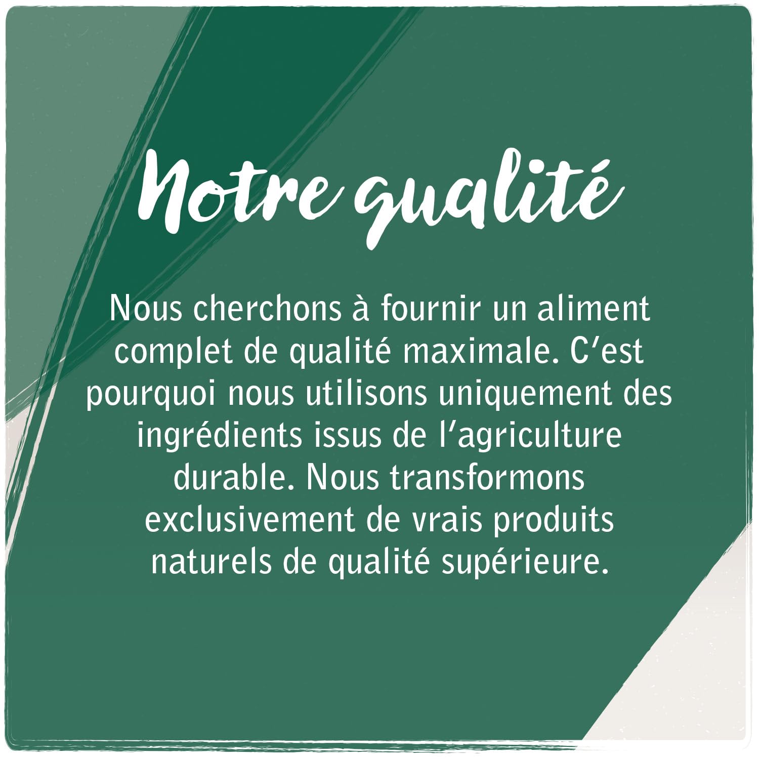 VenandiAnimal Croquettes Premium pour Chats, Sachet De Dégustation Agneau, 4 x 1,5 kg (Lot De 4), sans Céréales avec Beaucoup De Viande Et De Poisson Frais