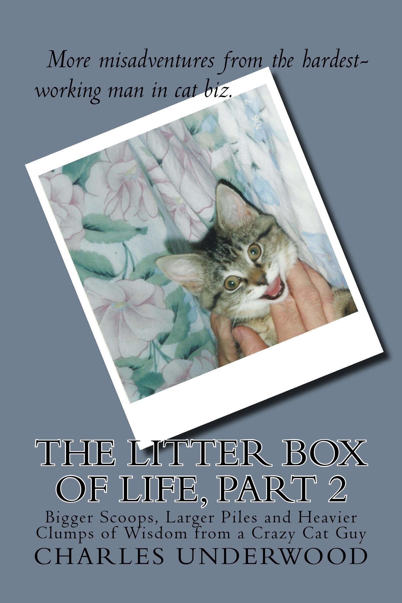 The Litter Box of Life, Part 2