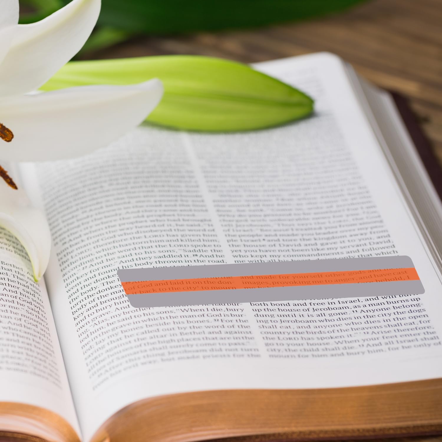 Aruicheng Guided Reading Strips Overlay Hightlight Bookmarks Reading Trackers Reading Tools Helps with Dyslexia for Students and Teacher Teaching 6 Pieces - Image 5