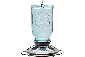 Perky-Pet Teal Bird Feeder for Wild Birds
