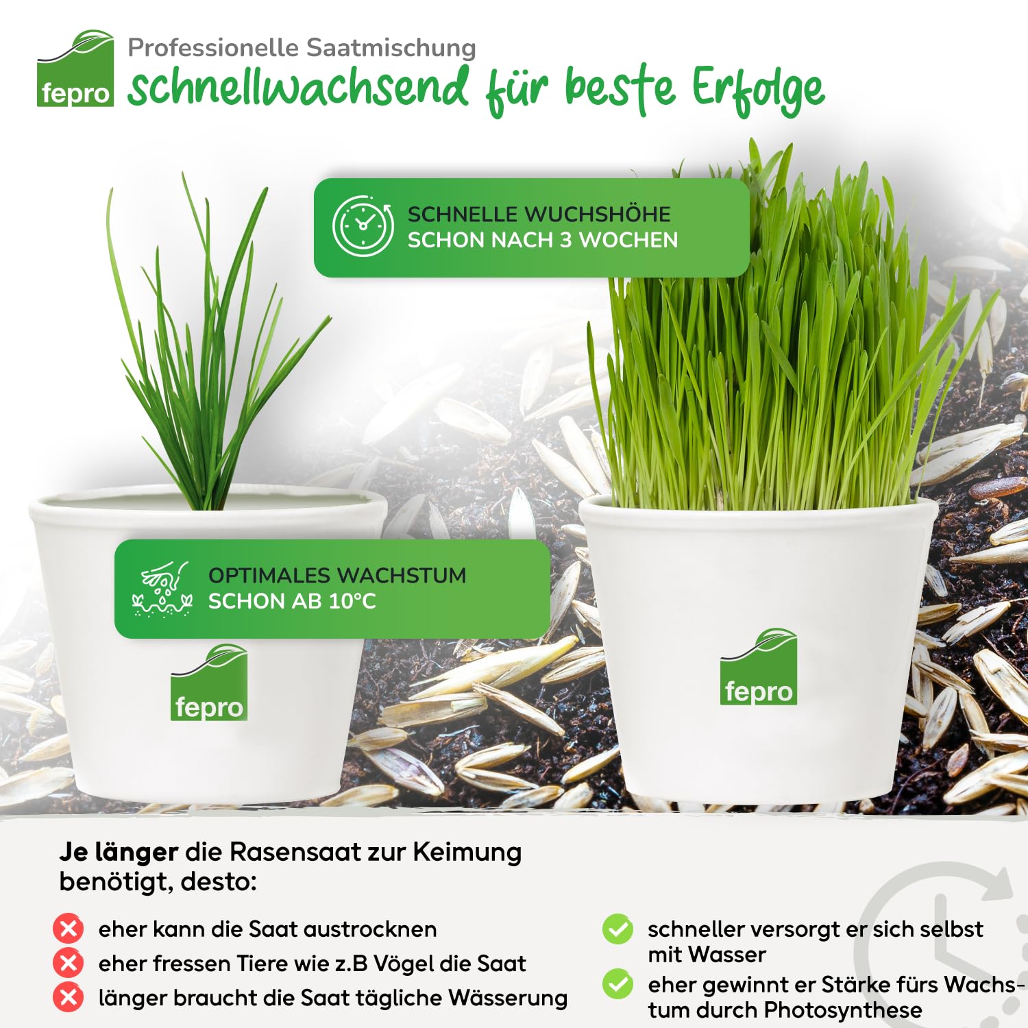 1kg Rasensamen Sport und Spiel schnellkeimend 40m², robust, tiefgrün, ideal für Neuansaat und Nachsaat, Rasensaat Grassamen Frühjahr
