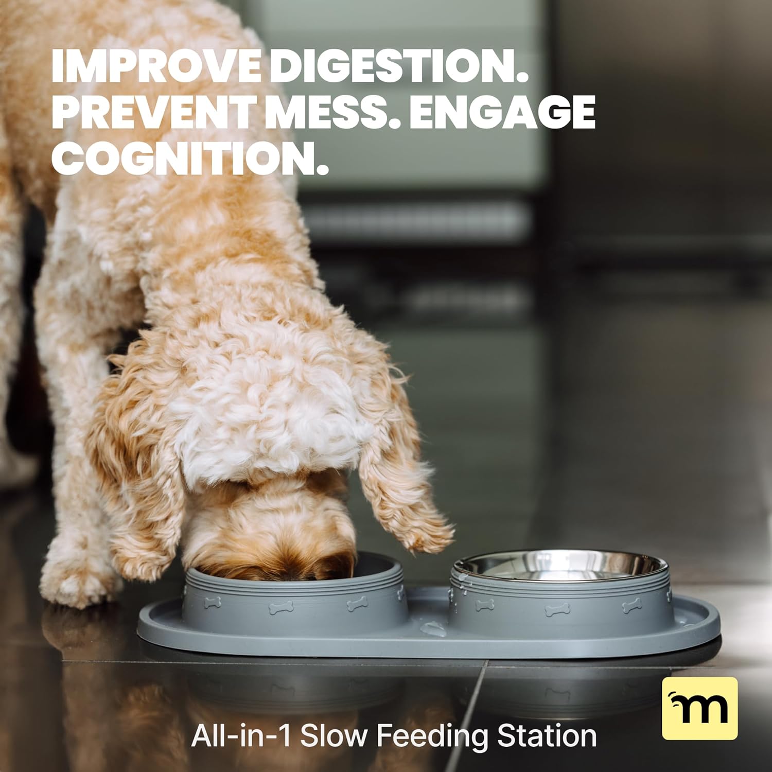 Enhance Your Pup