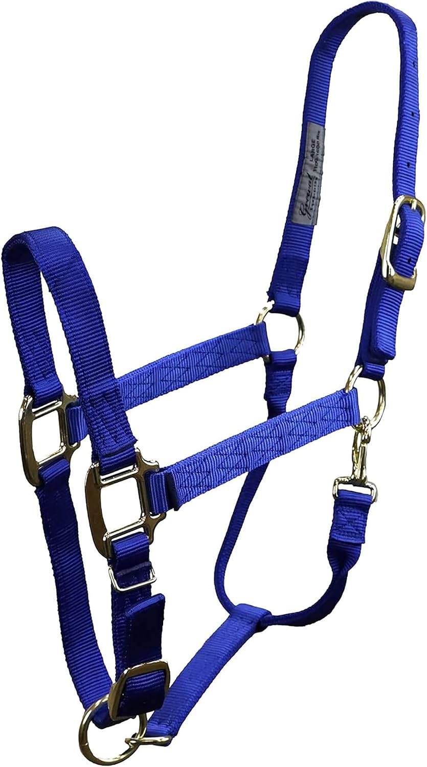 Grewal Equestrian 1” Nylon Webbing Halter for Horses – Adjustable Noseband & Throat-Latch Clip – for Yearling to Oversize