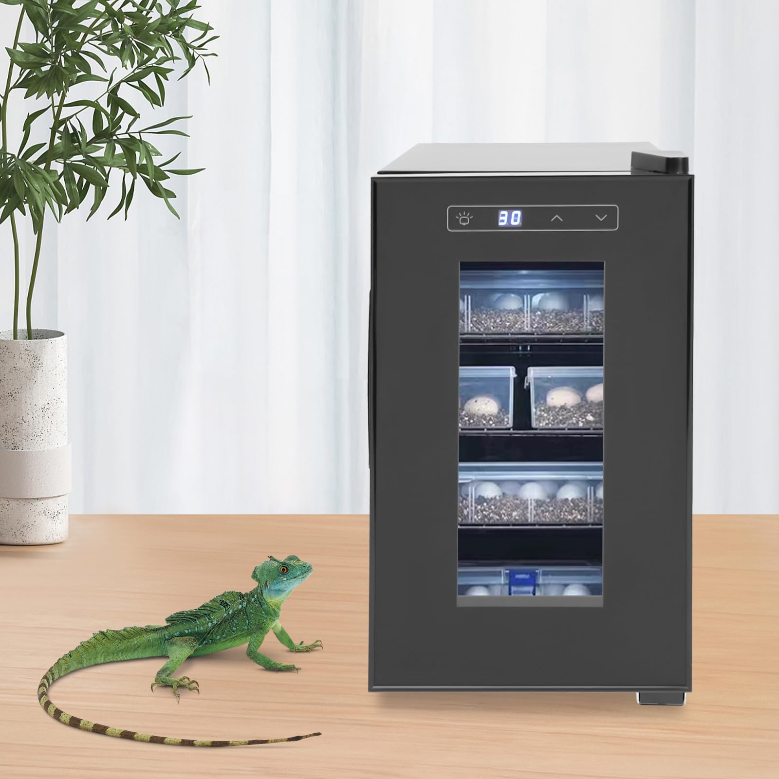 23L Reptilien-Ei-Inkubator, Präziser Temperaturregelung 50-104°F Experimentierkasten für die Inkubation von kleinen Amphibien 70W （Schwarz）
