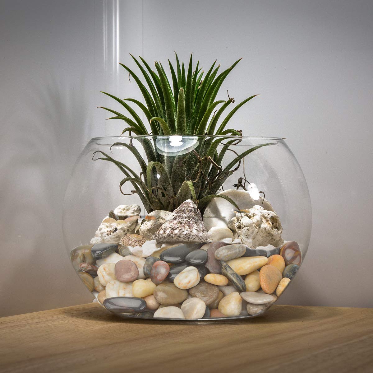 Mr. Fireglass Galets décoratifs en pierre naturelle polie pour aquarium, gravier ou rivière, 2,5 cm, 4,5 kg