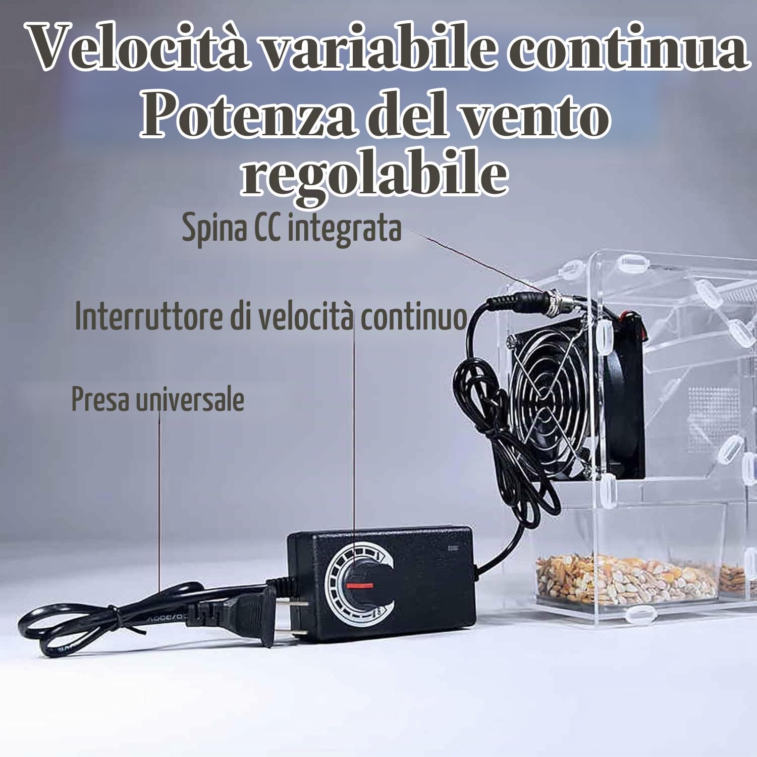 Macchina for la pulizia del mangime for uccelli,vagliatrice elettrica la pulizia dei cereali con 2granai indipendenti e ventola a velocità regolabile,separatore di gusci soffiati for semi di uccelli